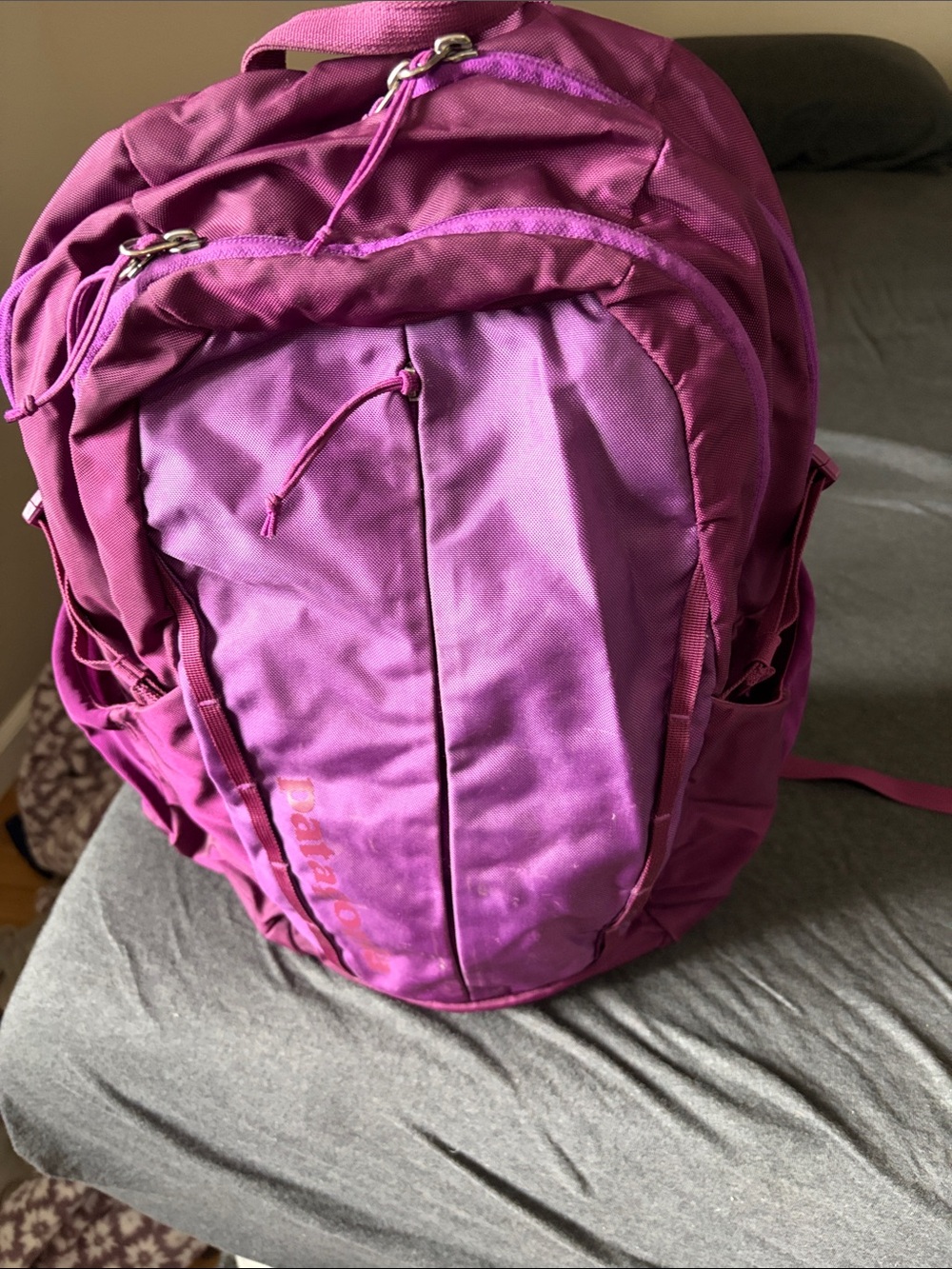 Patagonia Purple Backpack